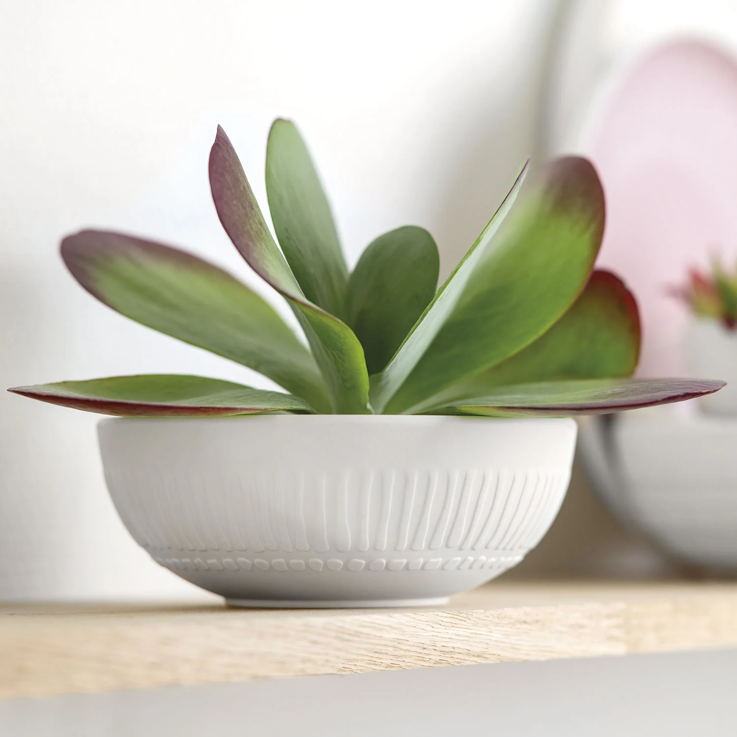 It's my match Индивидуальный салатник "Blossom" 850 мл