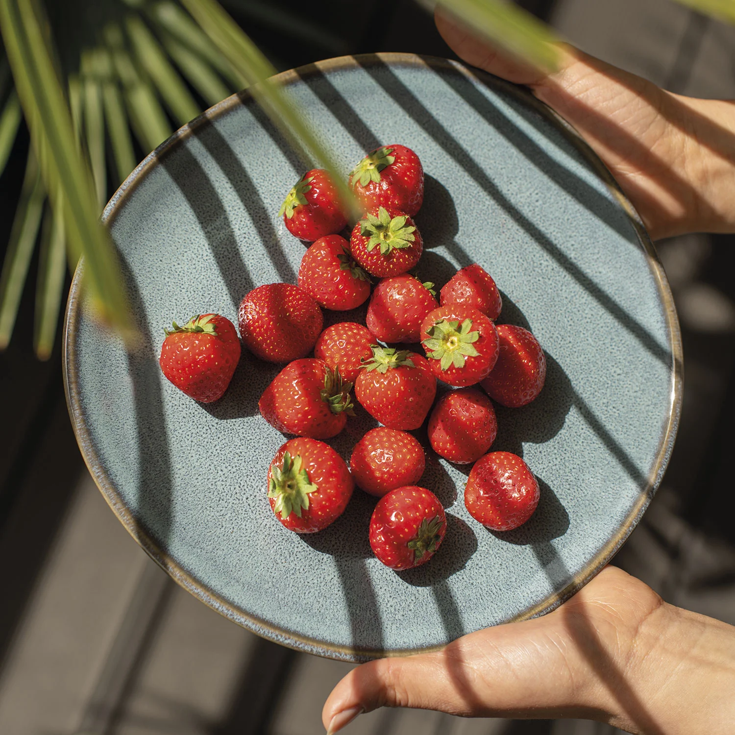 Lave Glace Салатная тарелка 24 см