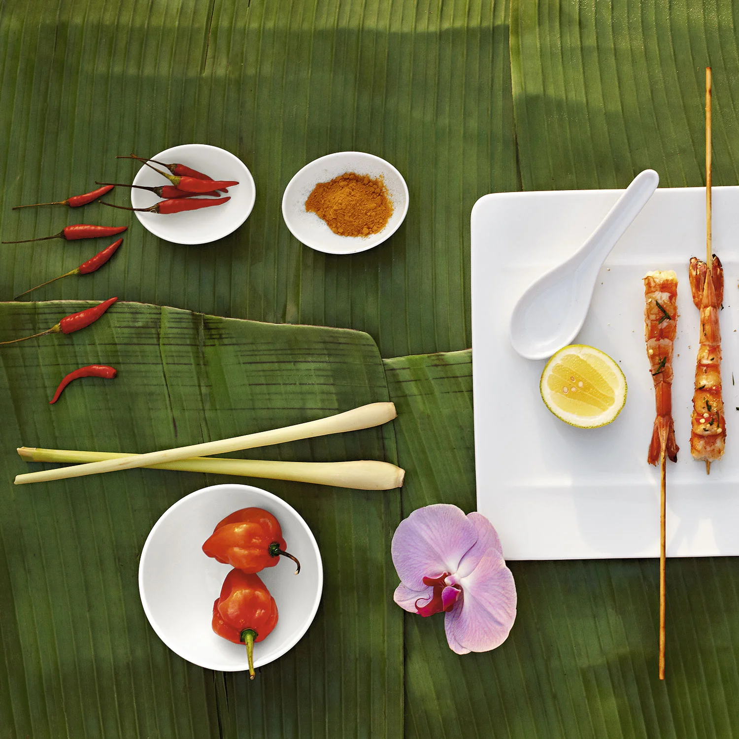 Modern Grace Индивидуальный соусник 15 мл